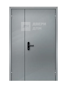 Дверь для ТЦ с антипаникой ДП-297